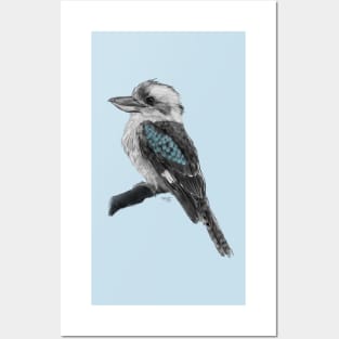 Kookaburra Posters and Art